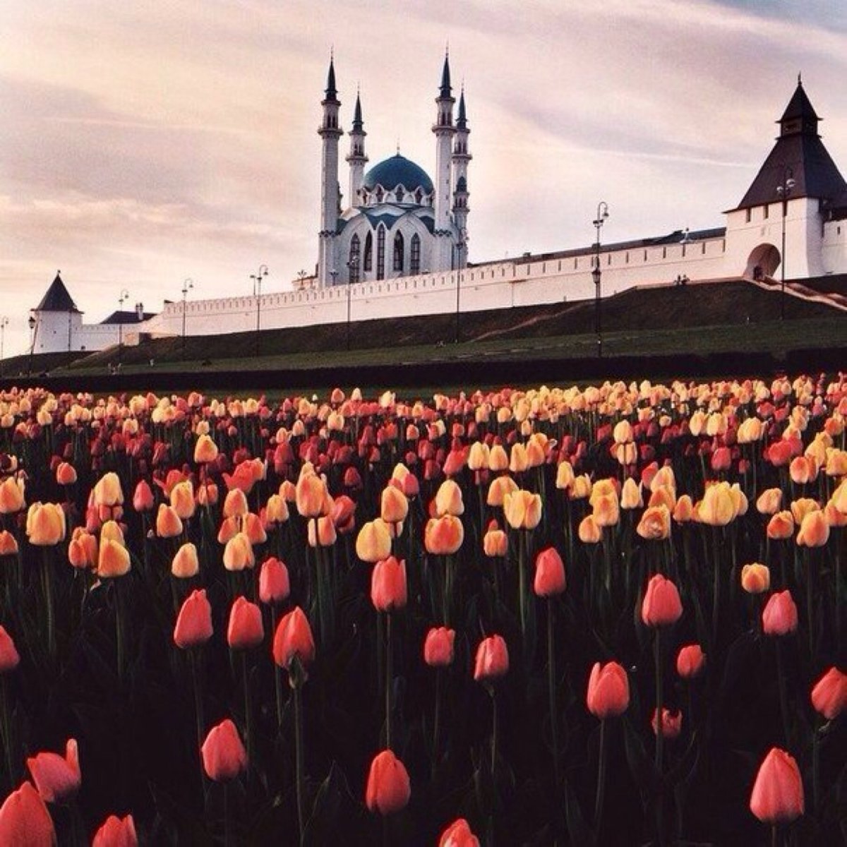 Казанский Кремль тюльпаны