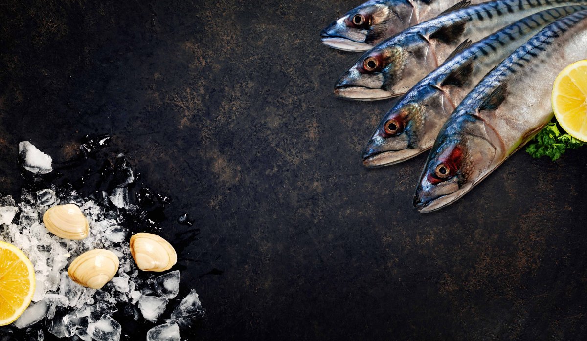 Атлантическая скумбрия