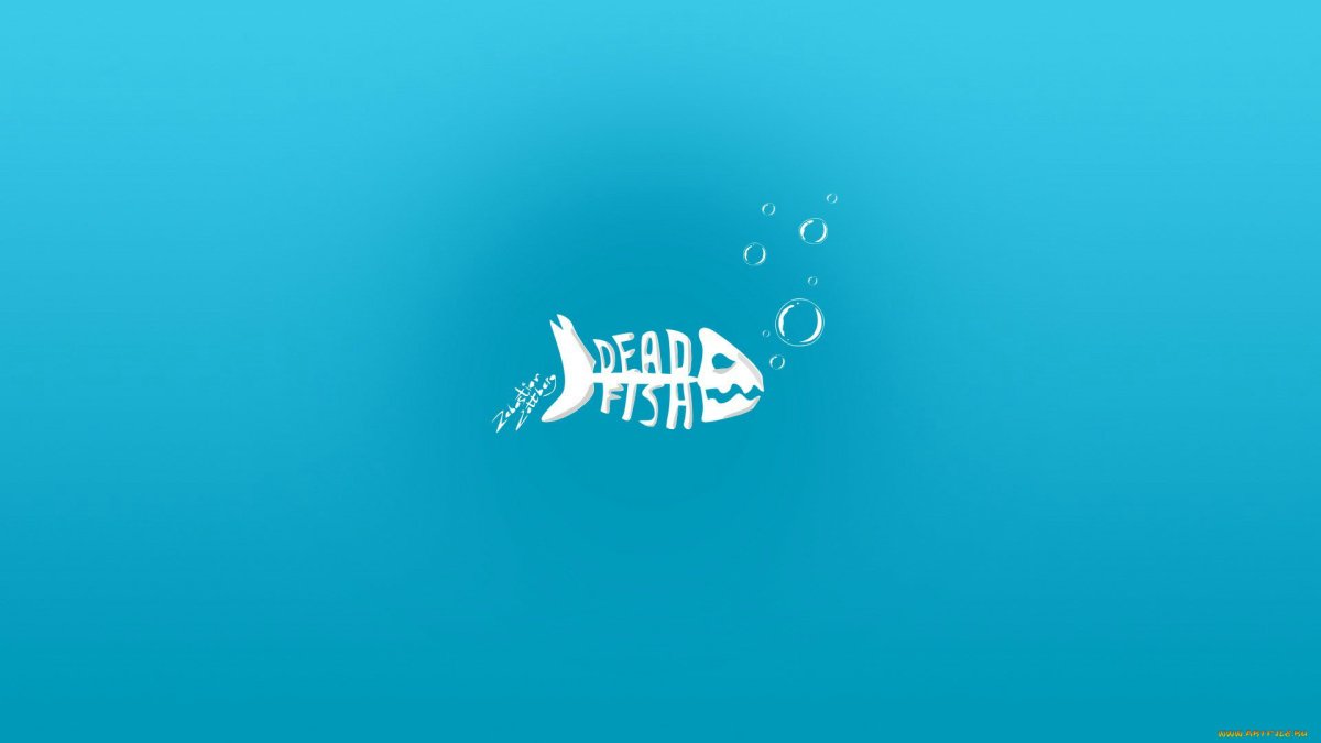 Рыба на бирюзовом фоне