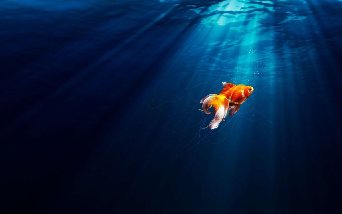 Золотая рыбка в океане