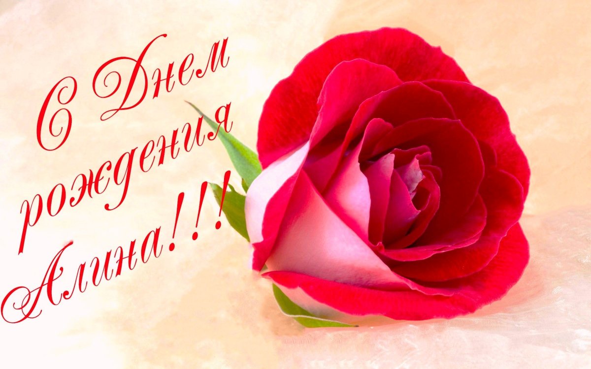 Поздравления с днём рождения Настеньке