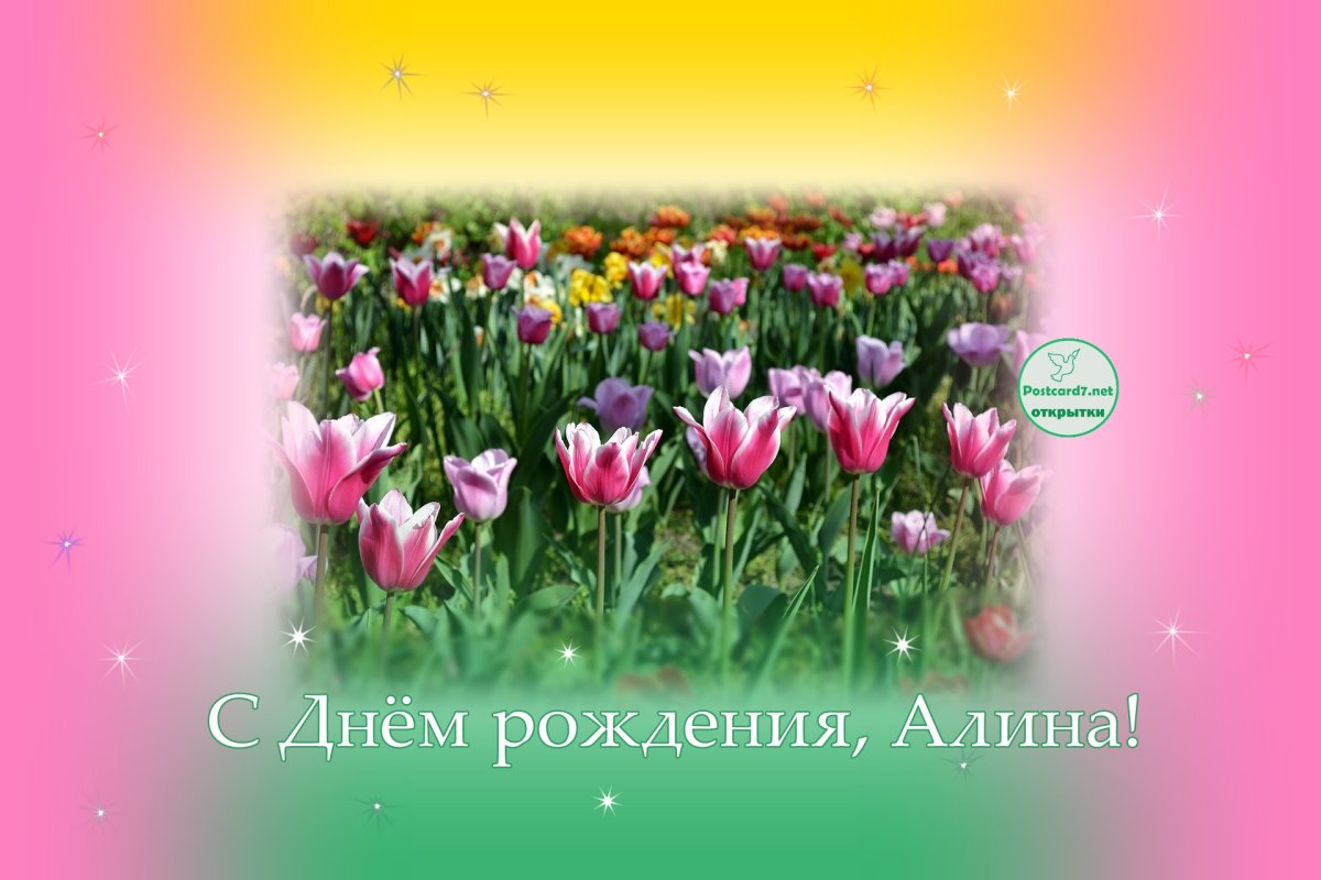 Алина Happy Birthday