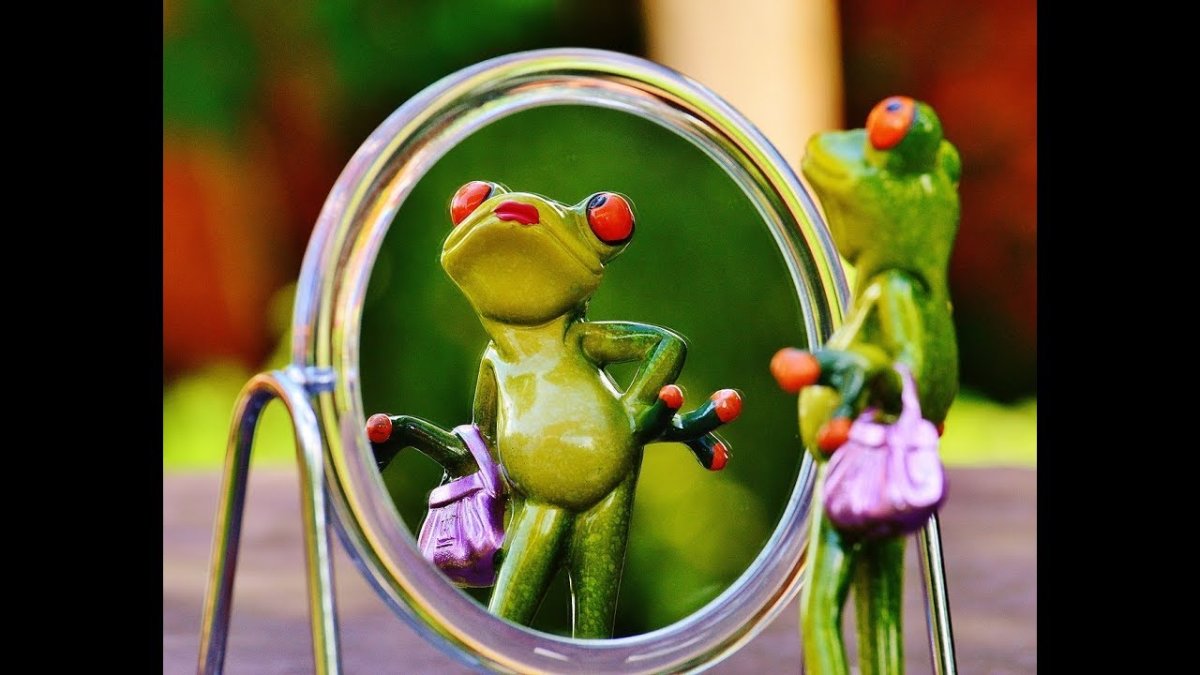 Лягушка красавица