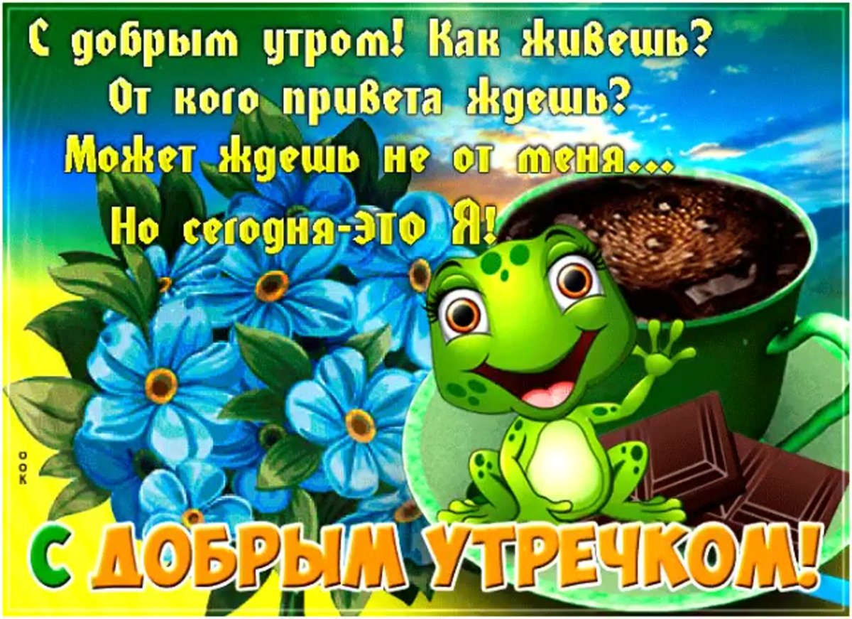 Доброе утро лягушка