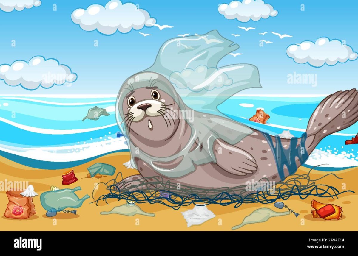 Морской котик иллюстрация