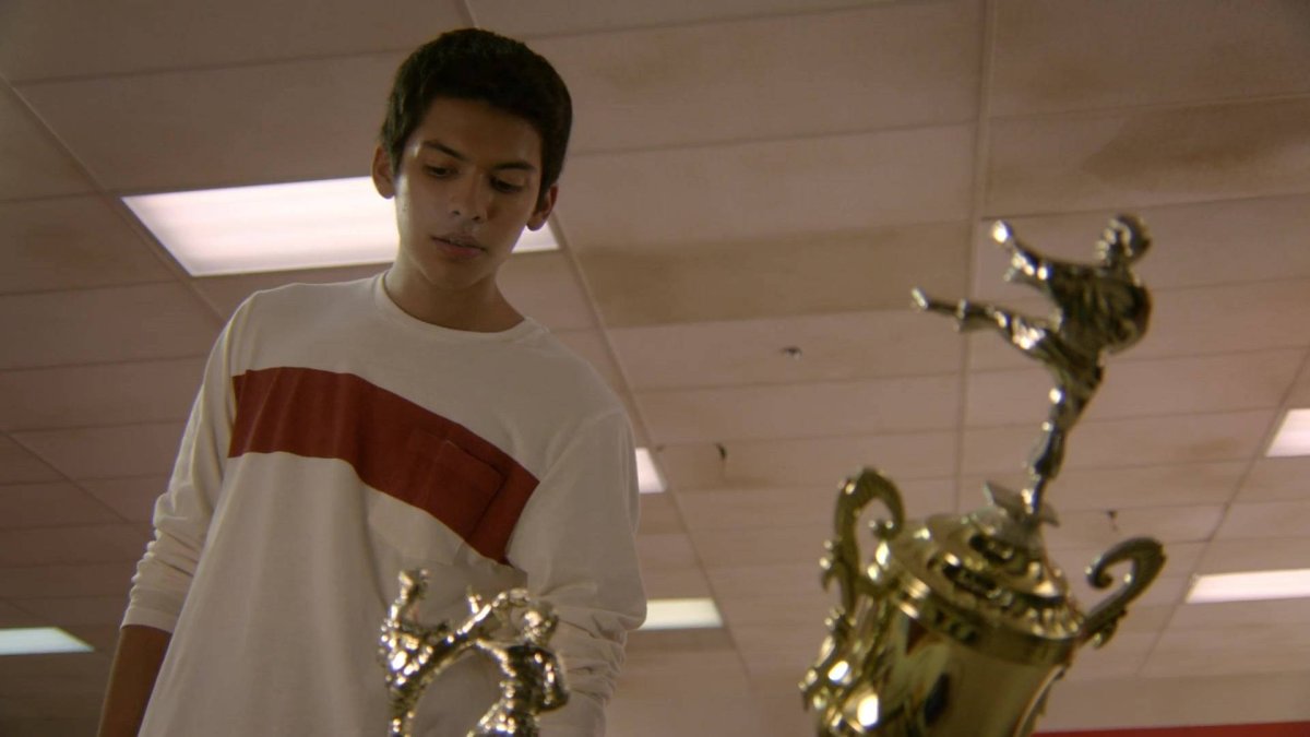 Сериал Кобра Кай ястреб