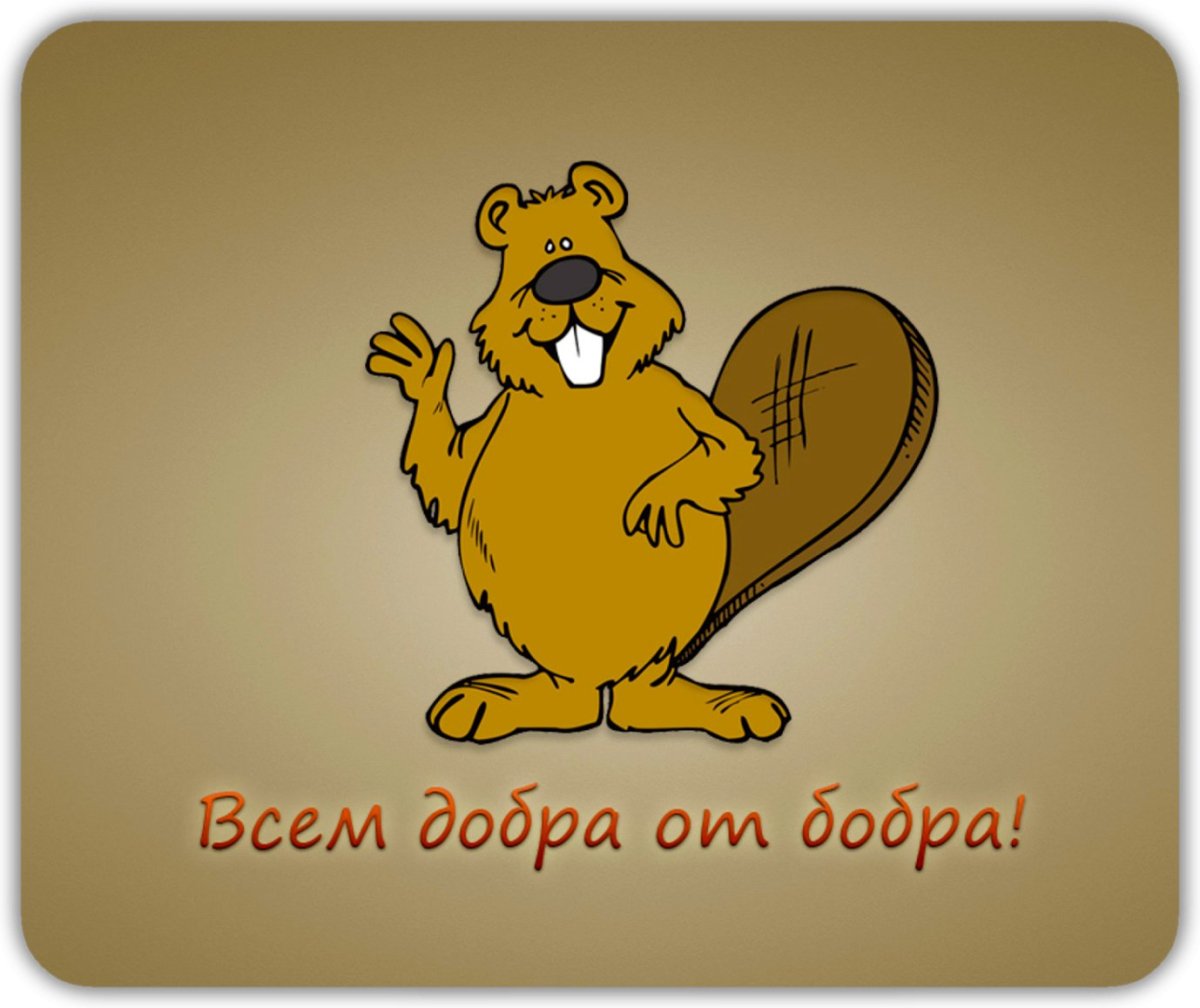 Бобер с добром