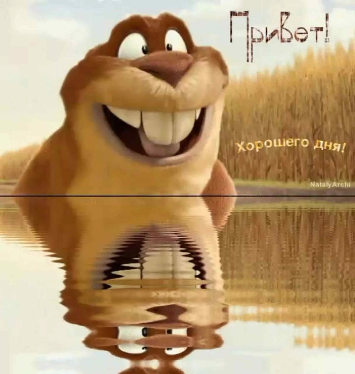 Рисунок бобра смешной