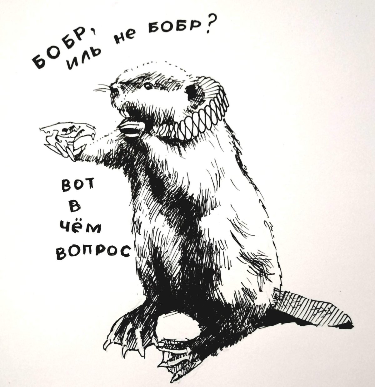 Забавные бобры