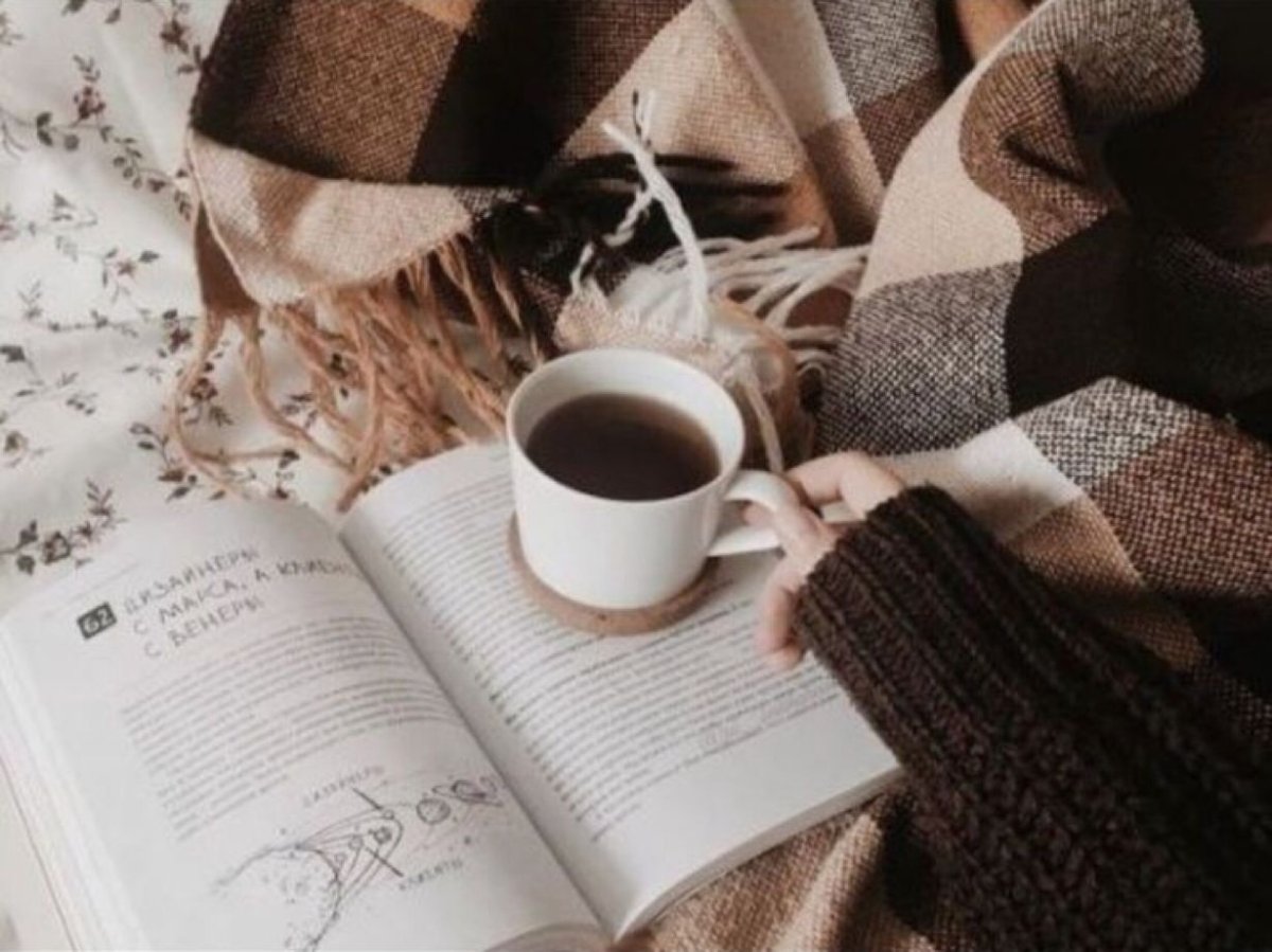 Эстетика книг и чая