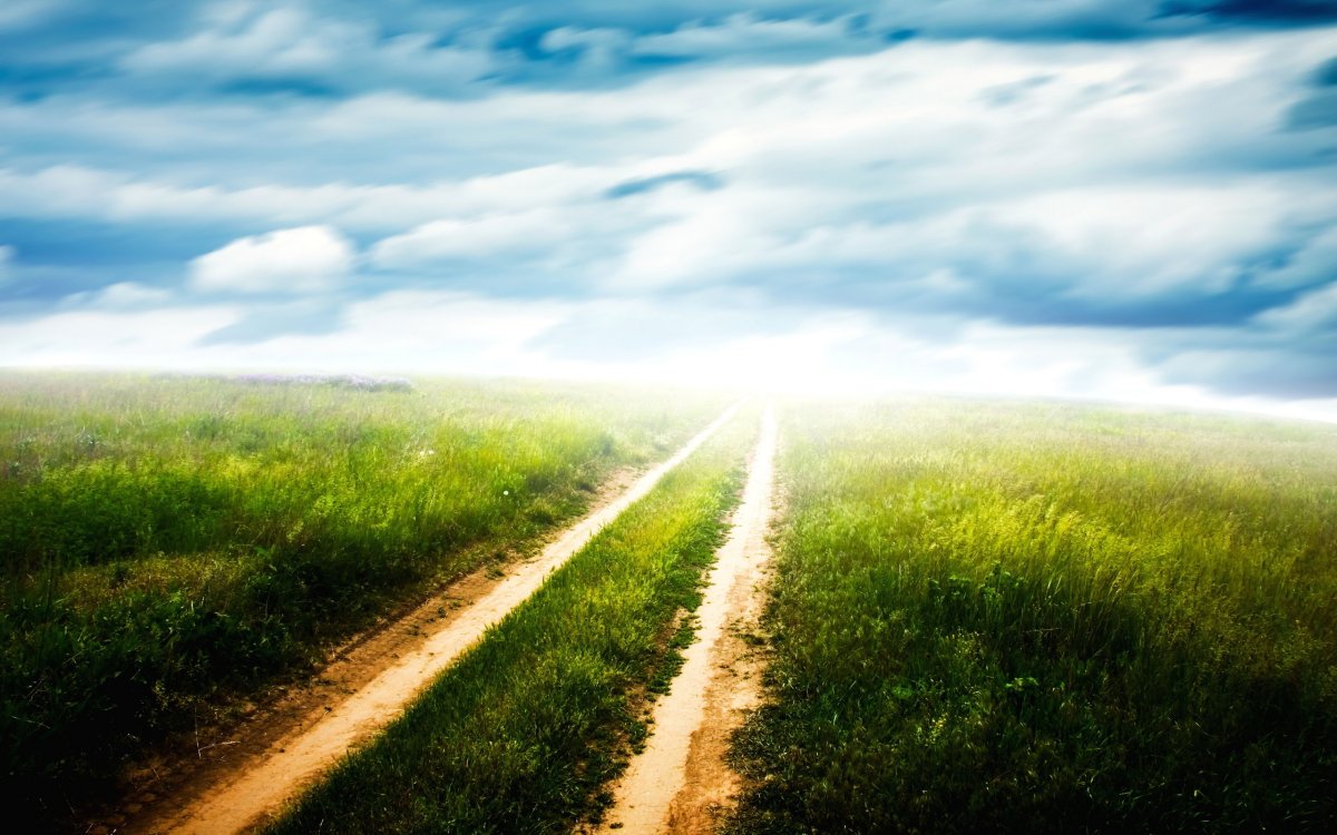 Светлая дорога