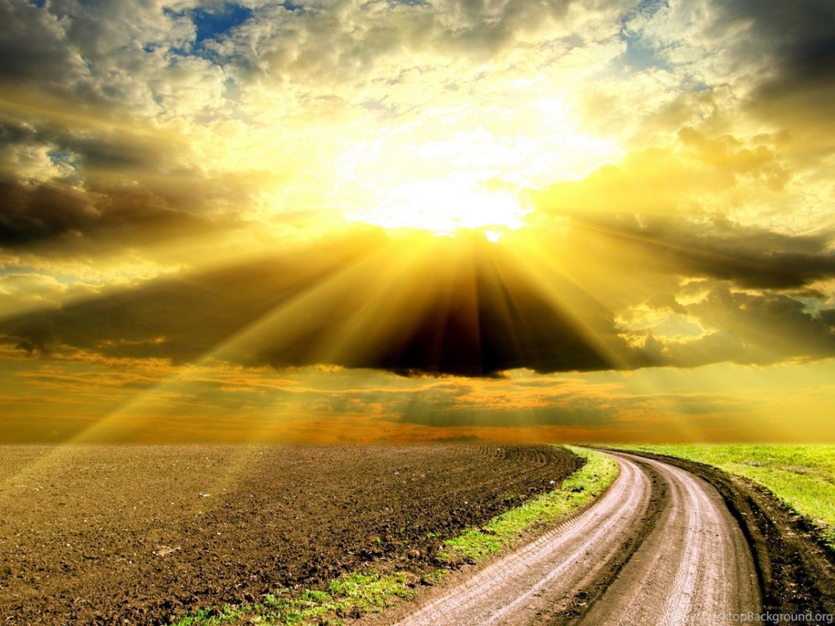 Человек идет по дороге