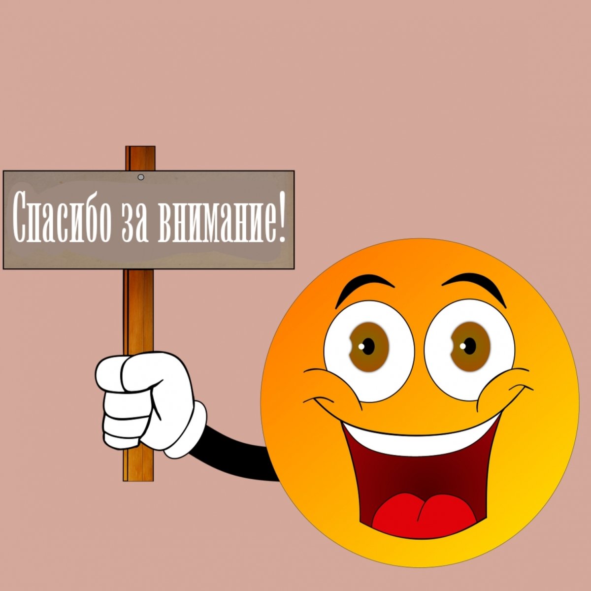 Спасибо за внимание для презентации