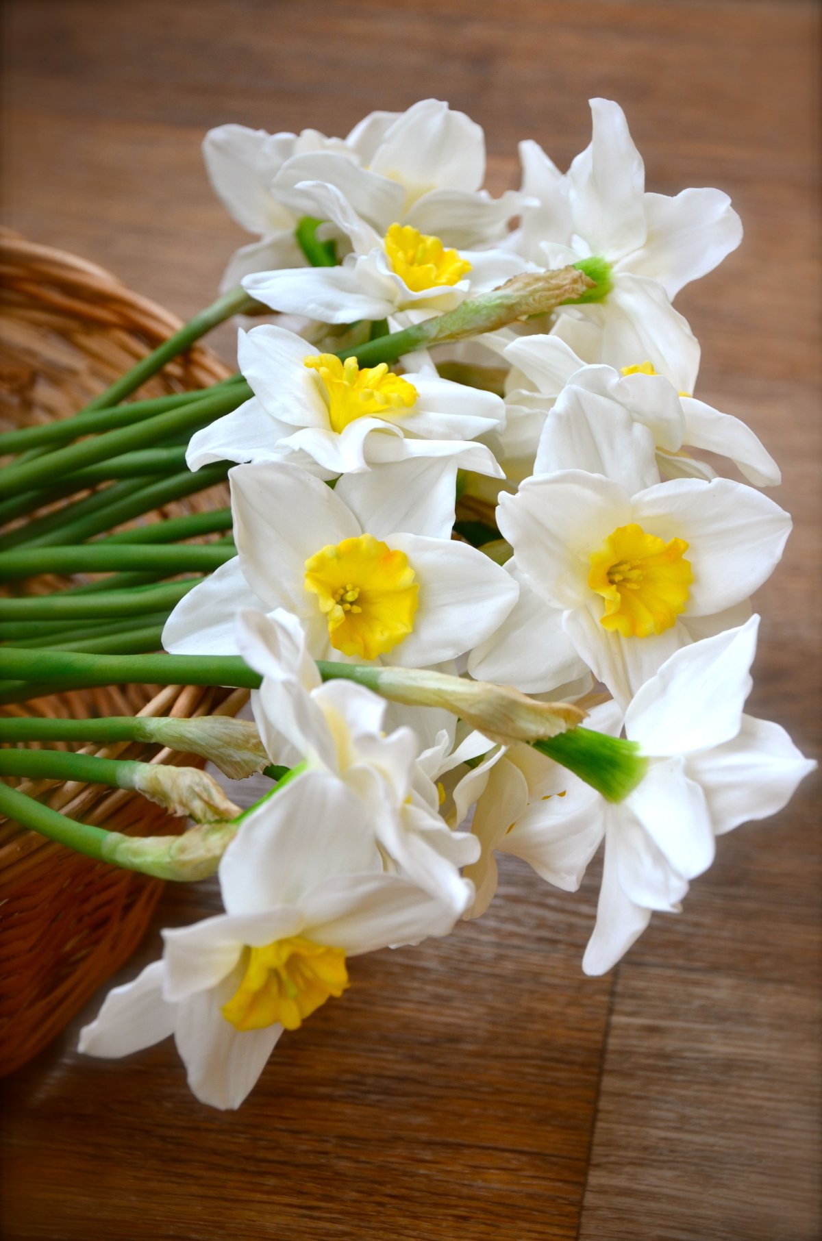 Нарциссы букет