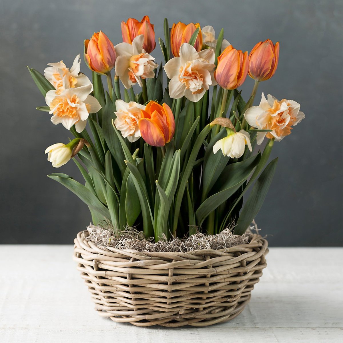 Нарцисс букетный