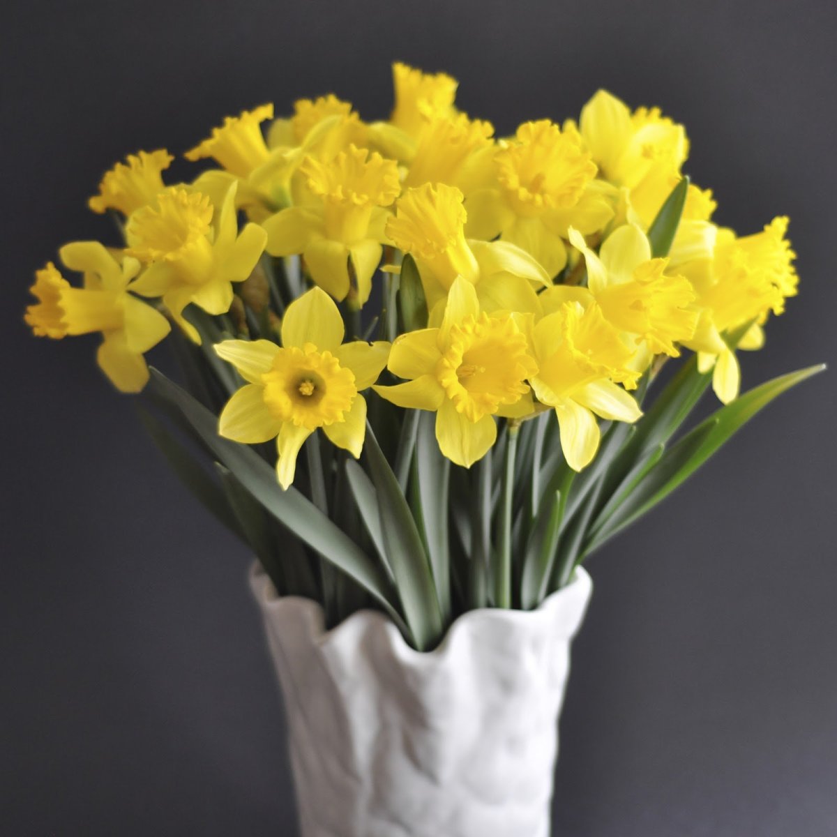 Тюльпан, гиацинт, амариллис, Нарцисс