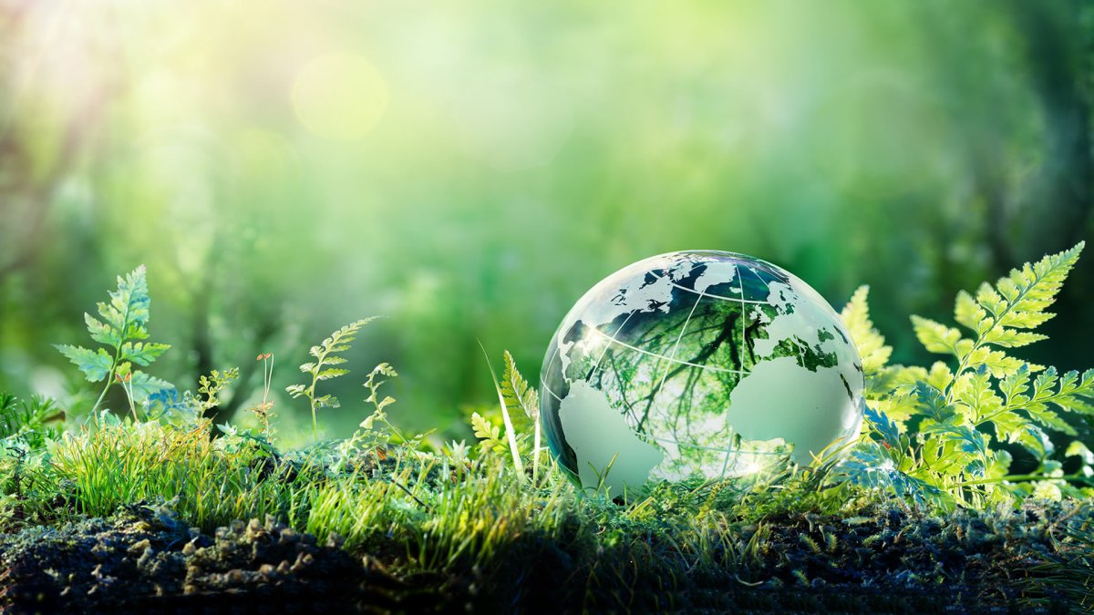 Всемирный день окружающей среды