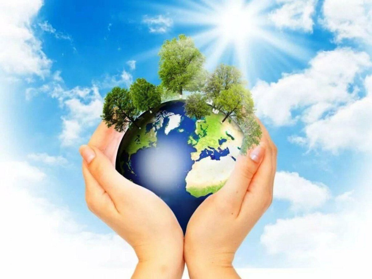 Экологическое путешествие