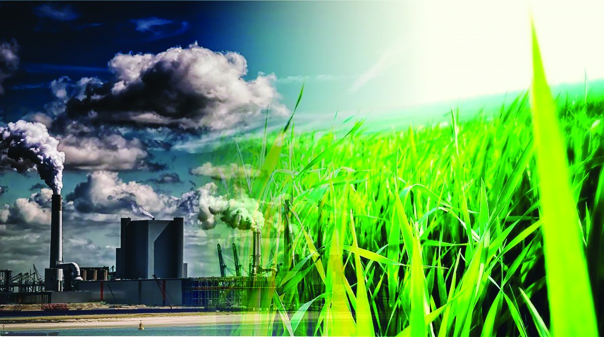 Экология воды