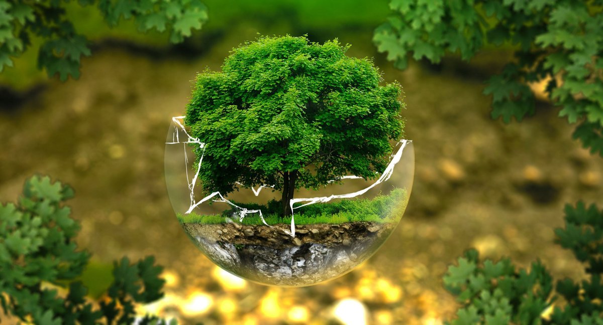 Защита окружающий среды