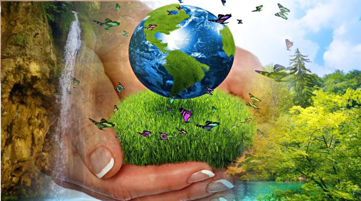 Проект Environmental Protection