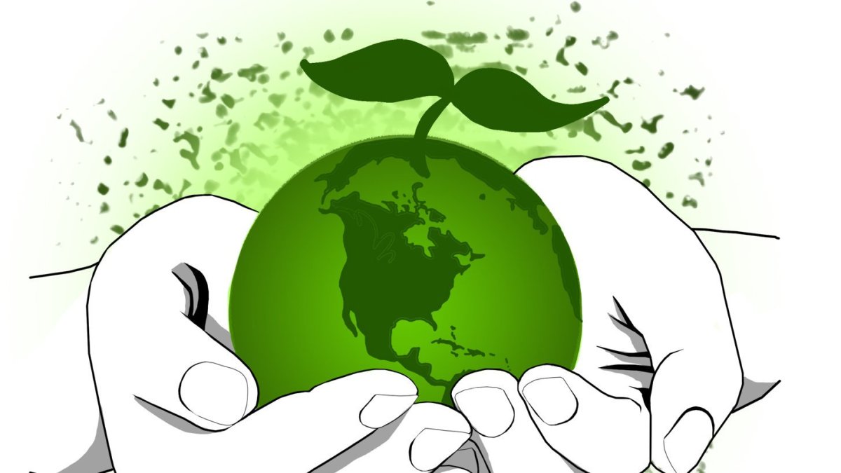 Экология фон