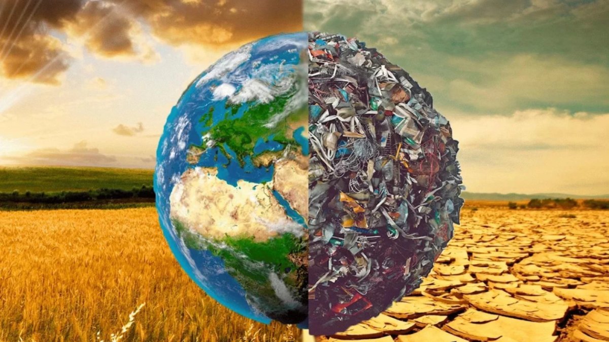 Экология и окружающая среда