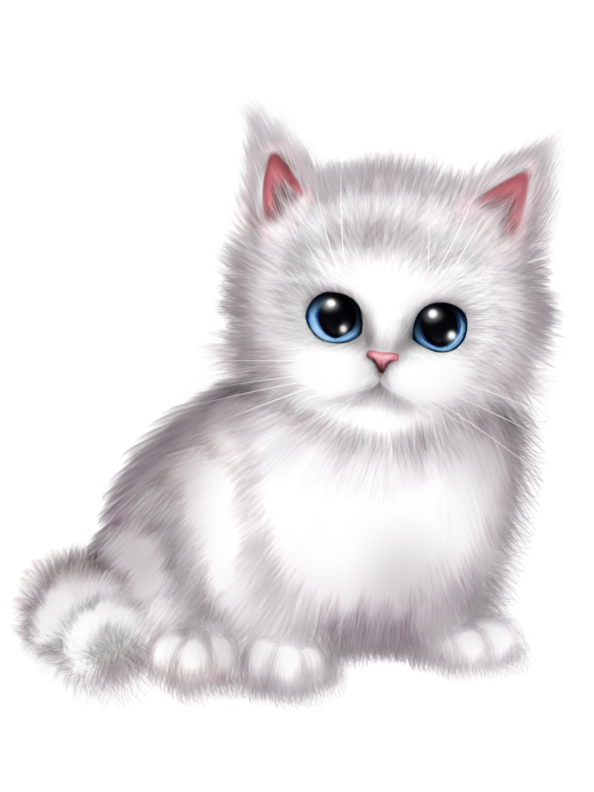 Котик на белом фоне