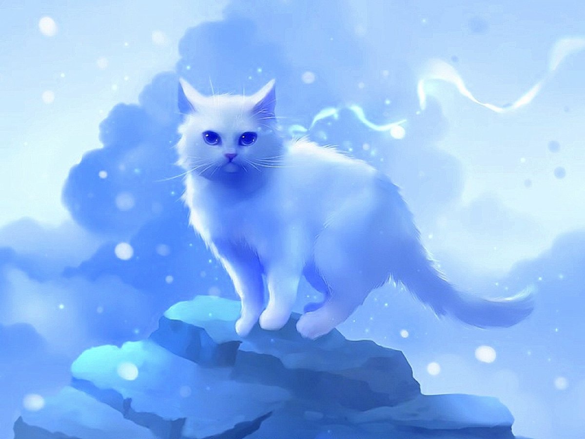 Белая кошка арт
