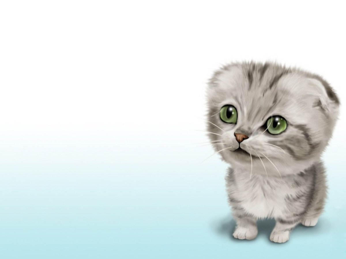 Картинки котиков