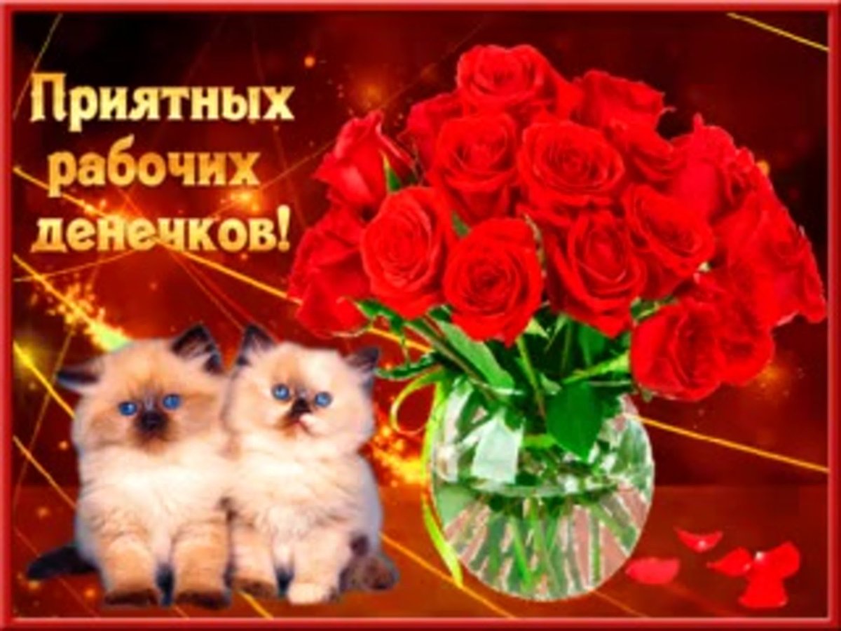 Анекдоты про ночную смену