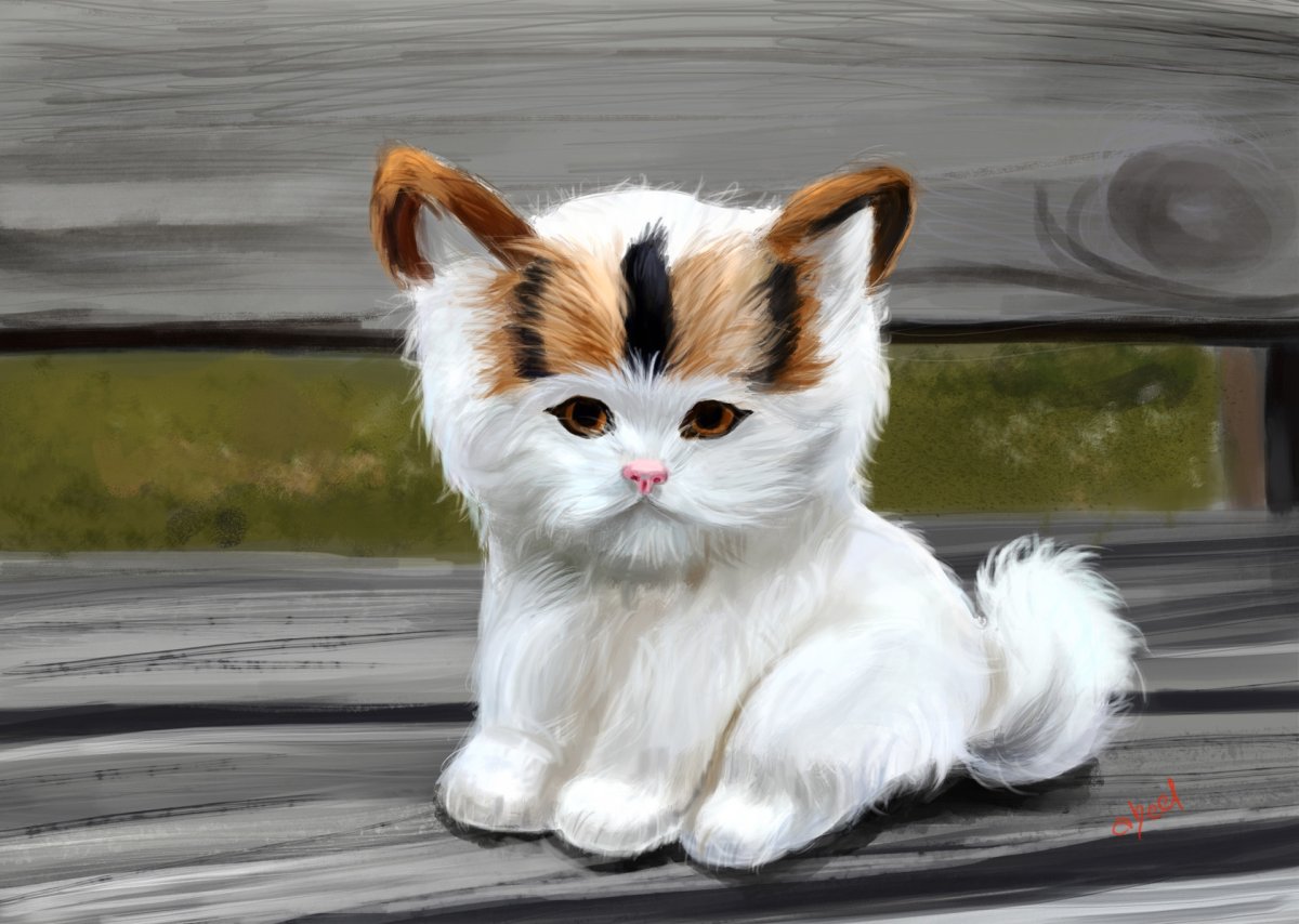 Много кошек