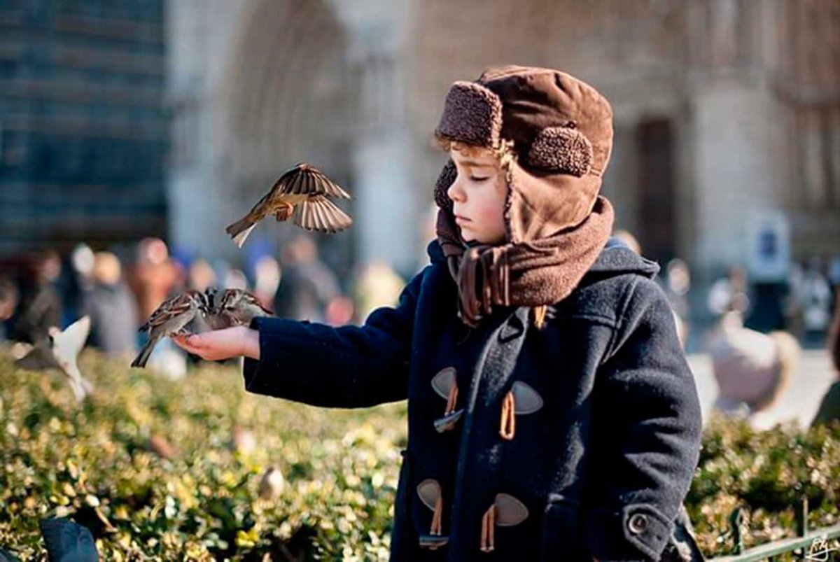 Доброта птицы