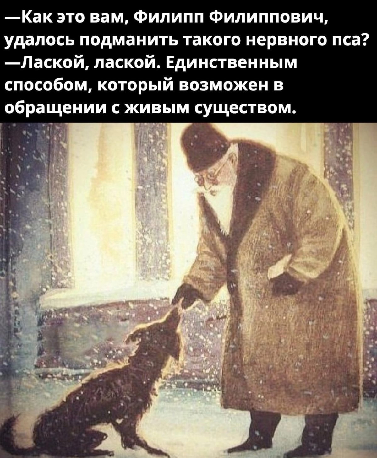 Собачье сердце Михаил Булгаков иллюстрации