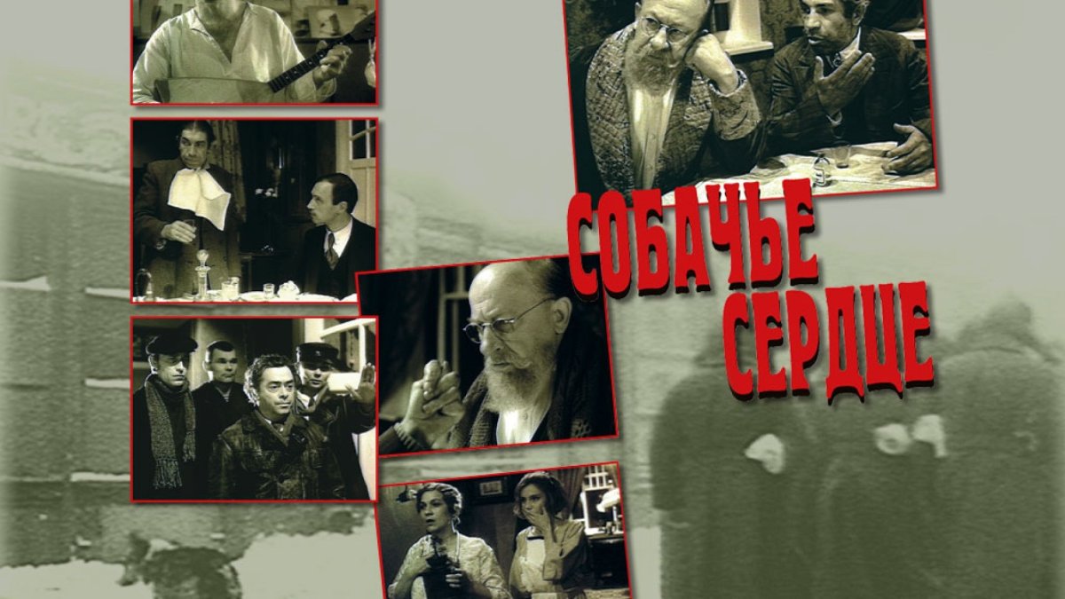 Булгаков Собачье сердце фильм 1988