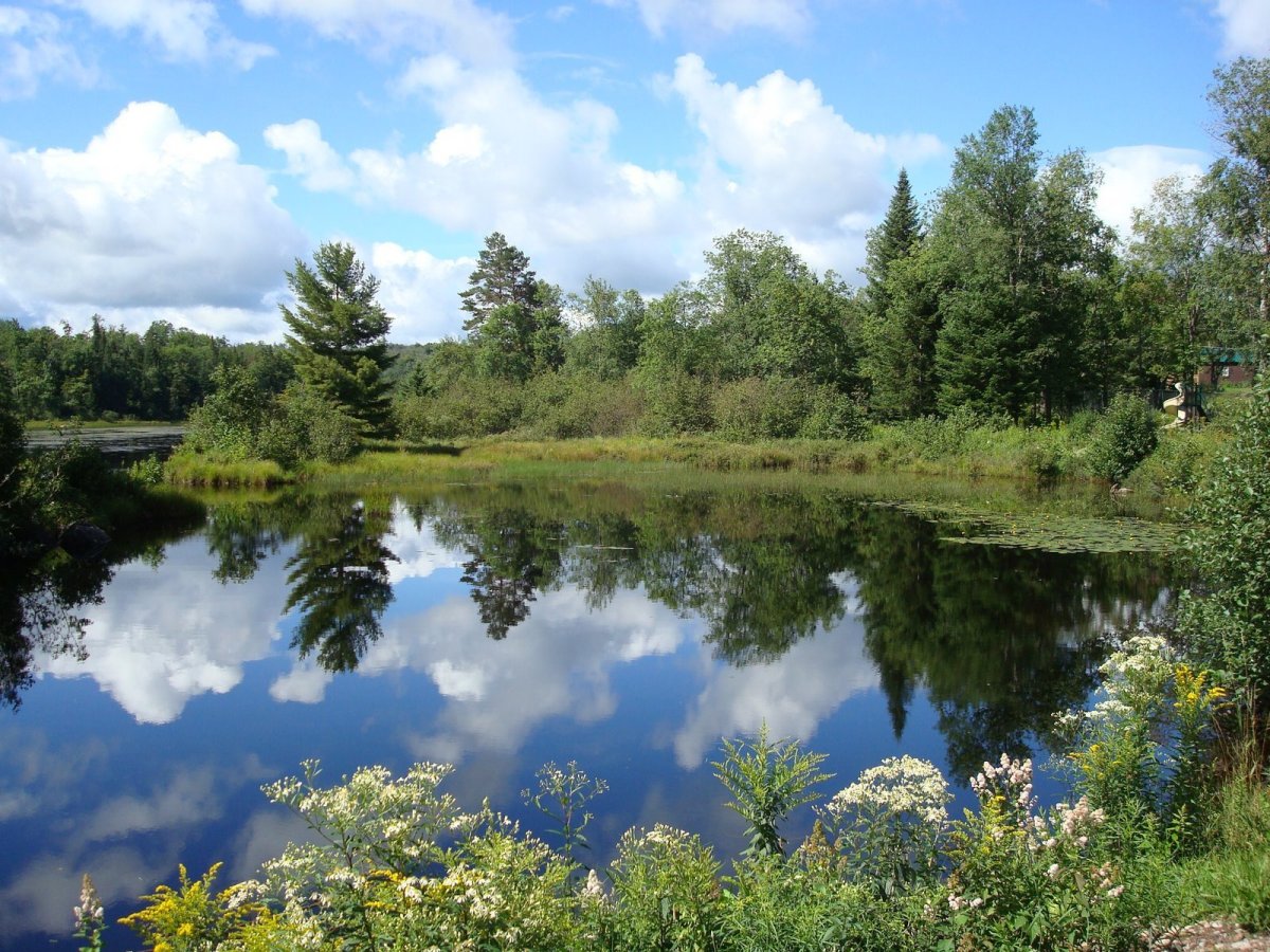 Природа Чувашского края