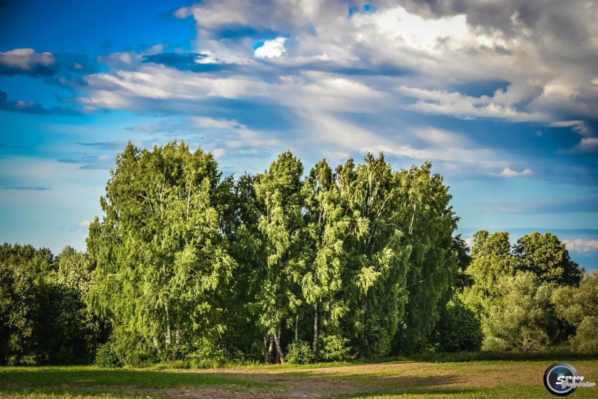 Природа Чувашии