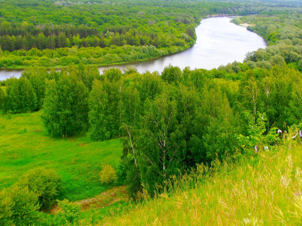 Река Сура в Чувашии