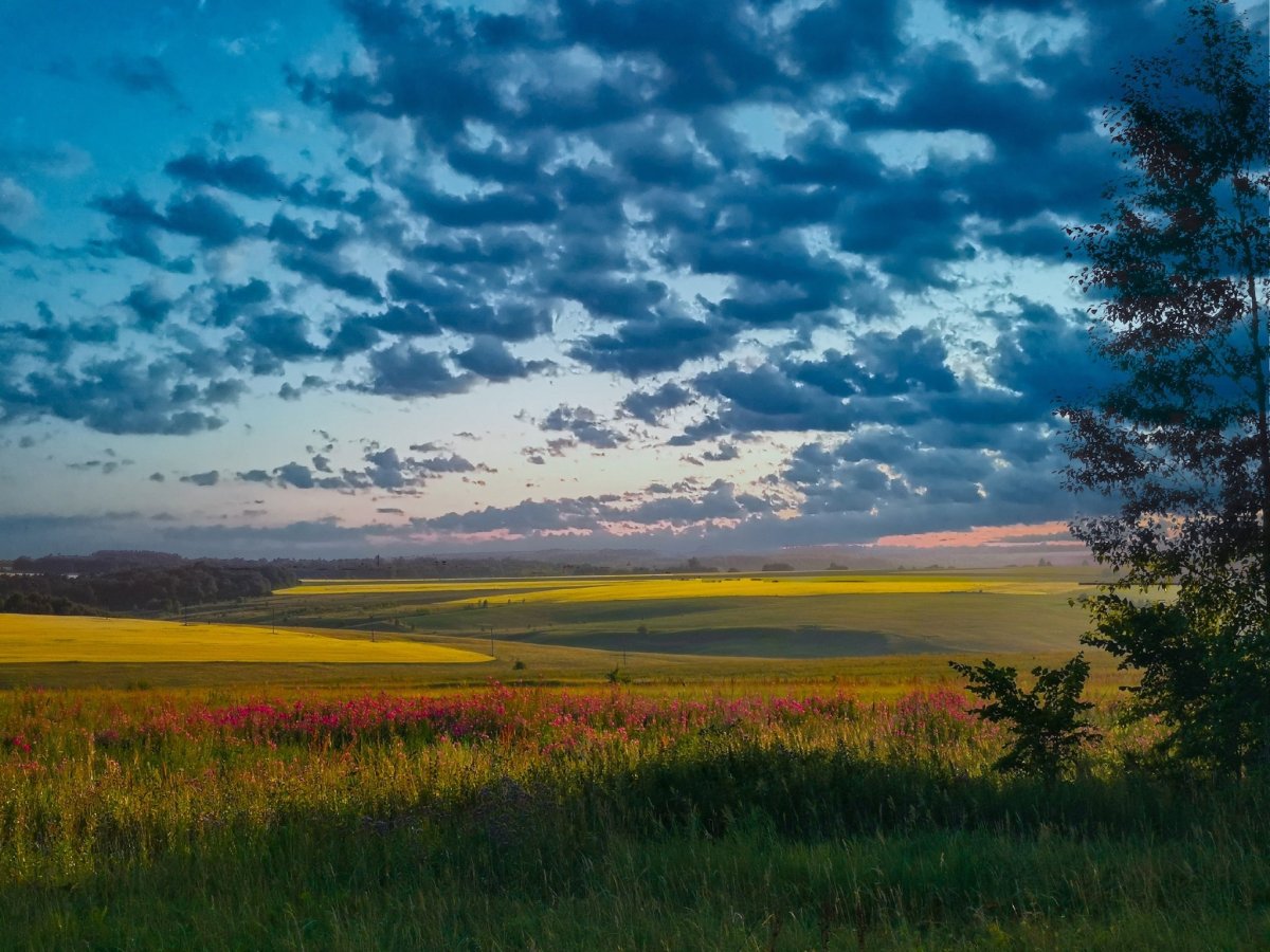 Природа и климат Чувашии