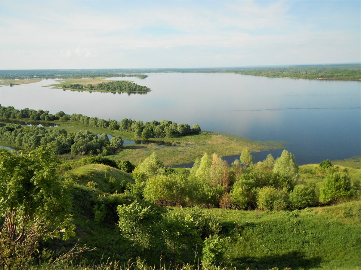 Птичий полет Чувашия Козловский район