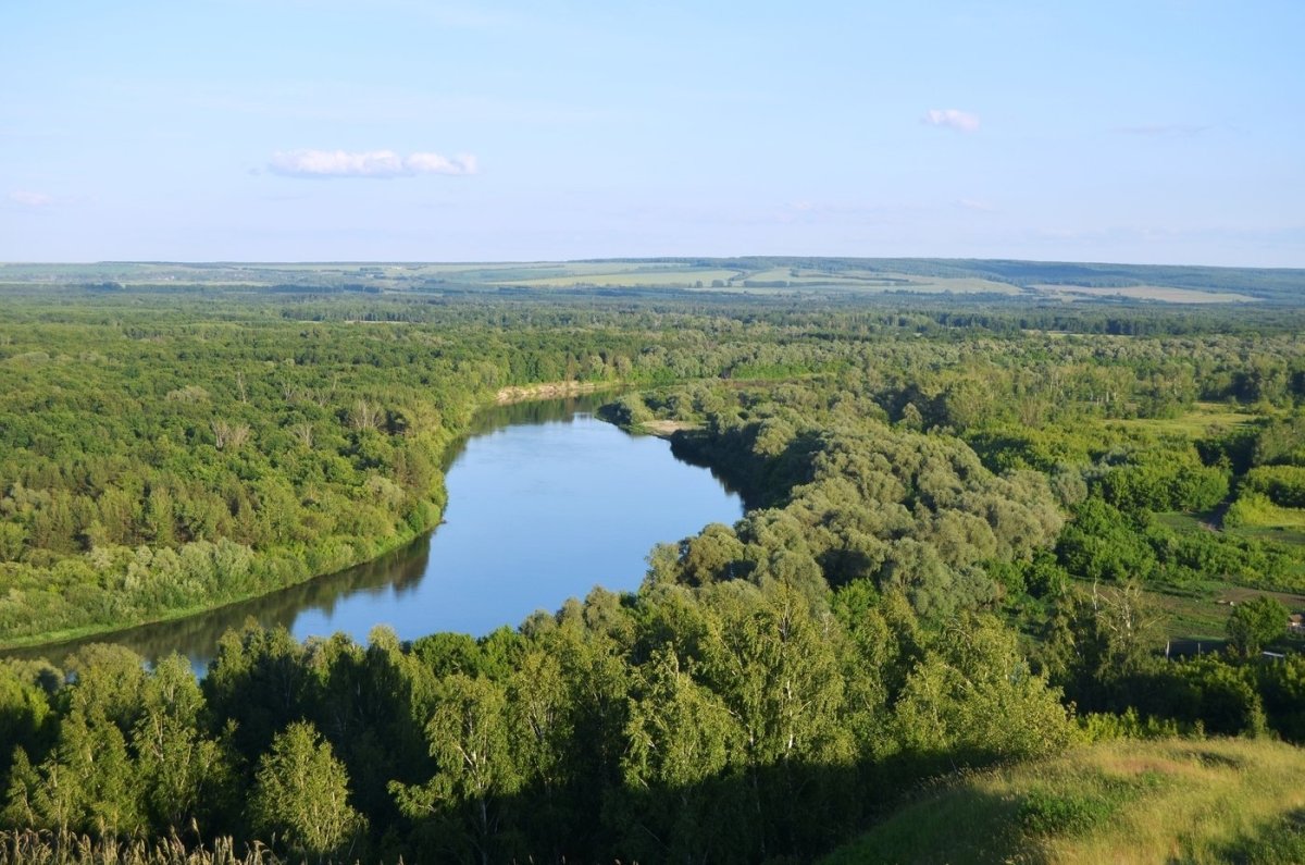 Река Сура в Пензенской области