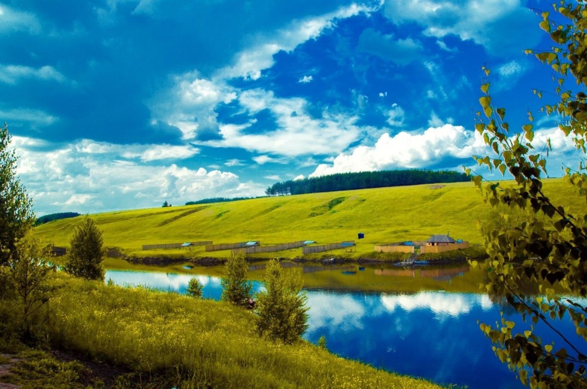 Заимка Чувашия 2021 цены