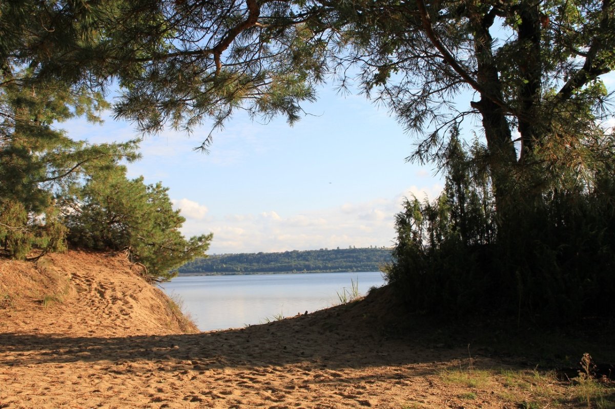 Природа в Заволжье Чувашия