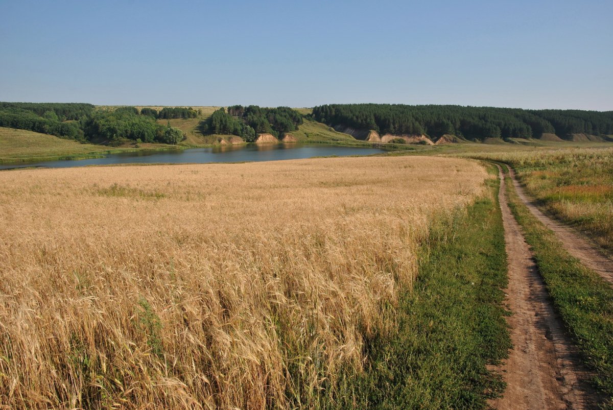 Просторы Чувашии