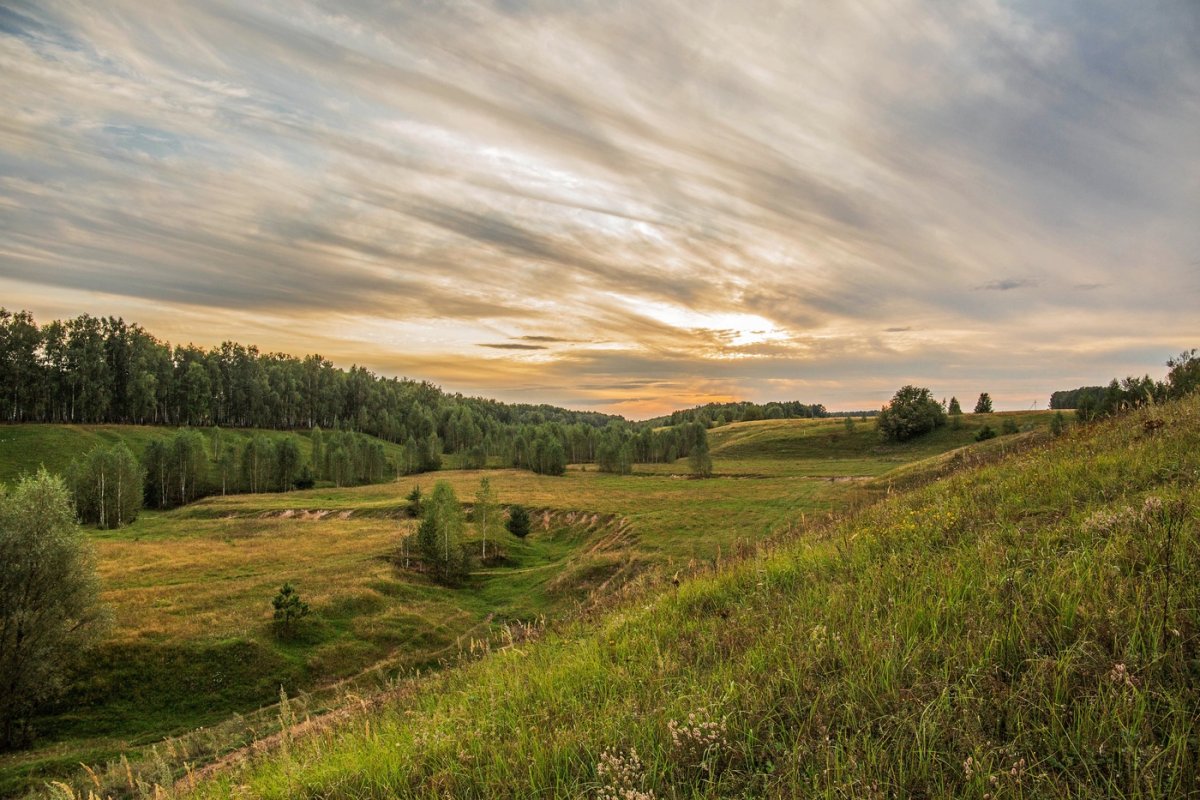 Природа Татарстана Татарстана