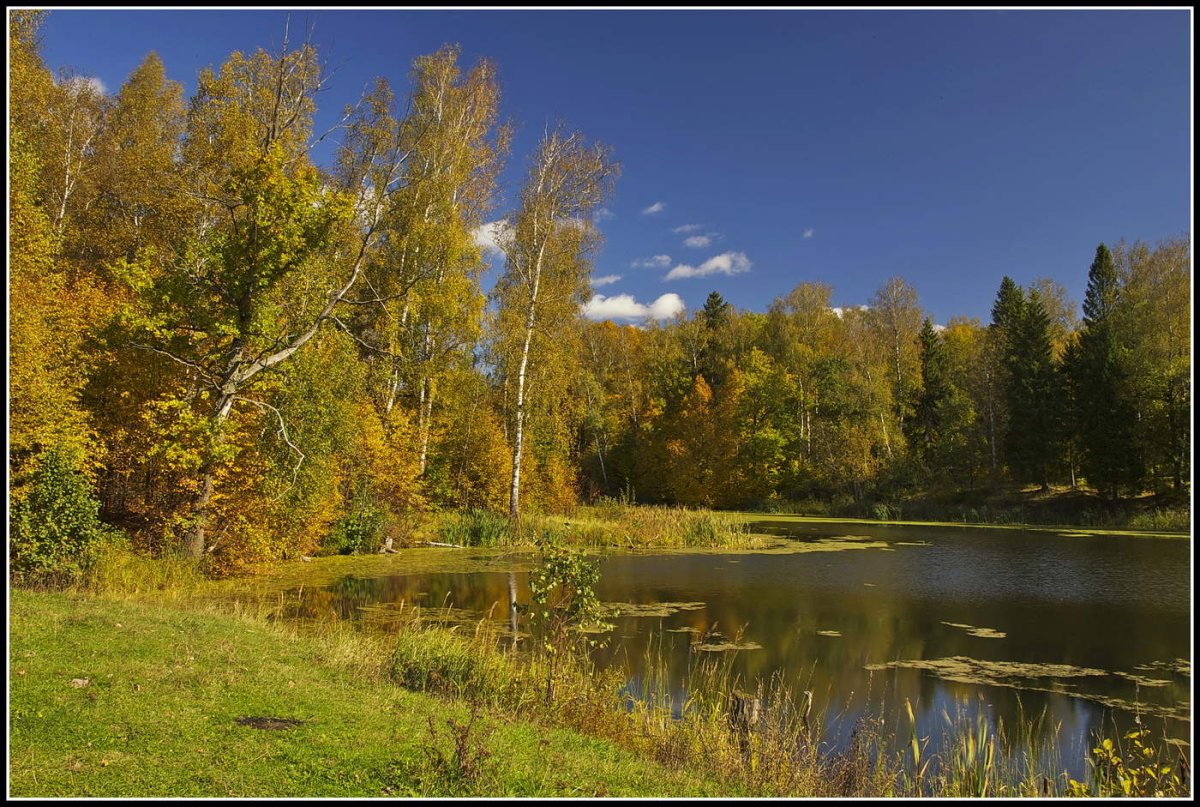 Золотая осень в Мещере