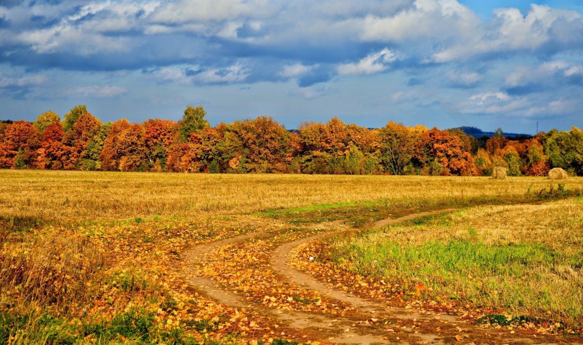 Золотая осень Чувашия