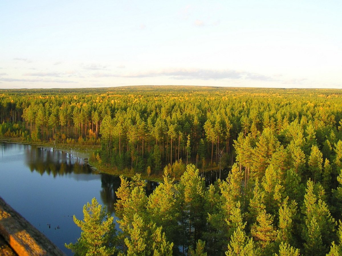 Присурский заповедник