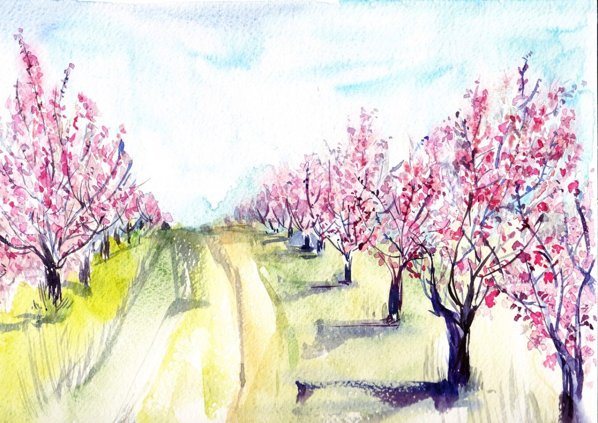 Рисование весенний сад