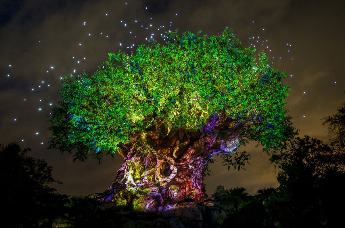 Волшебное дерево